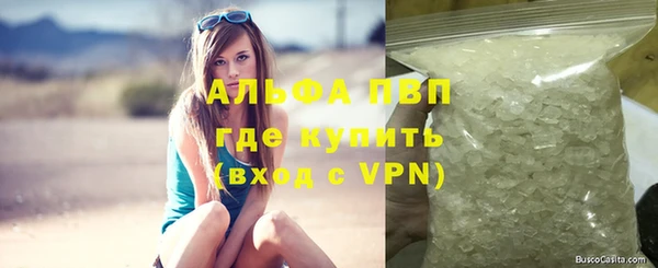 дмт Дмитров