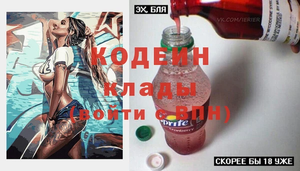 дмт Дмитров