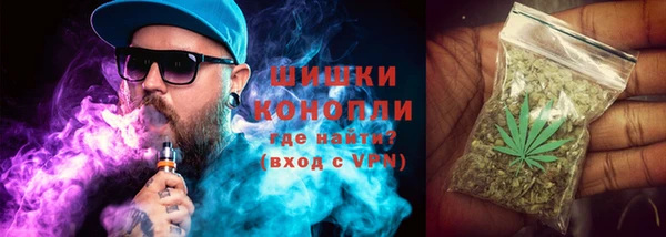 дмт Дмитров