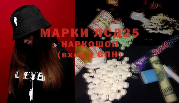 дмт Дмитров