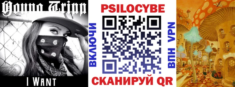 Купить где  Сретенск  Псилоцибиновые грибы Magic Shrooms 