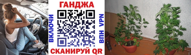 Шишки марихуана SATIVA & INDICA  Купить  Сретенск 
